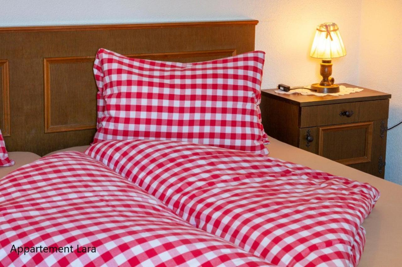 Appartement Lara & Lea Zell am Ziller Εξωτερικό φωτογραφία